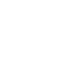 Leverage