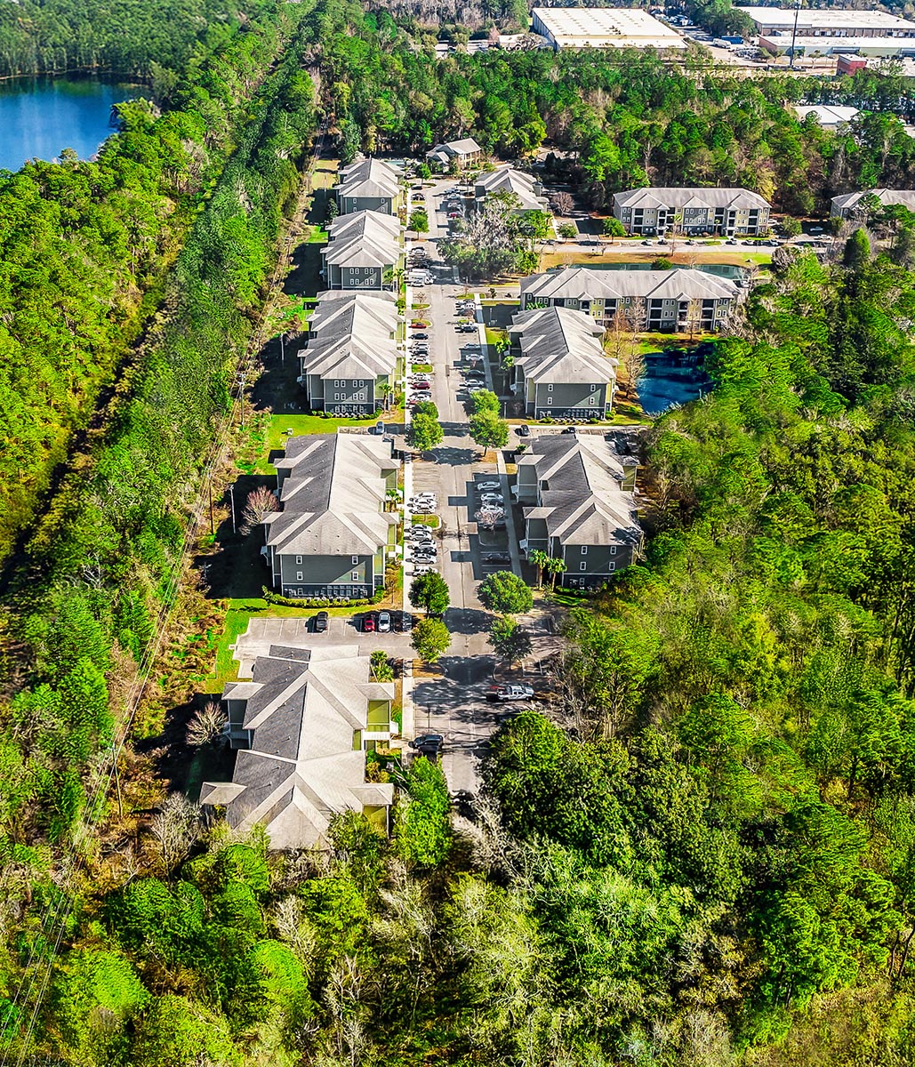 WEB NEW 09 10XTRELLIS