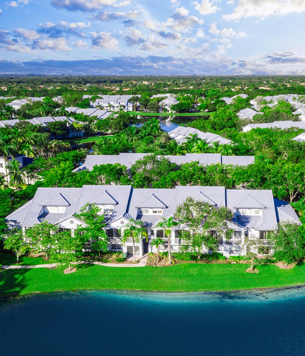 WEB NEW 36 10XWESTON