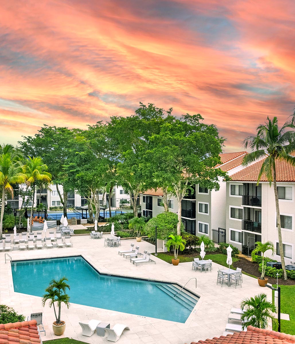 WEB NEW 43 JACARANDA